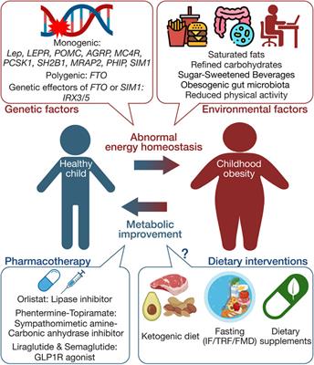 Genetics, pharmacotherapy, and dietary interventions in childhood obesity